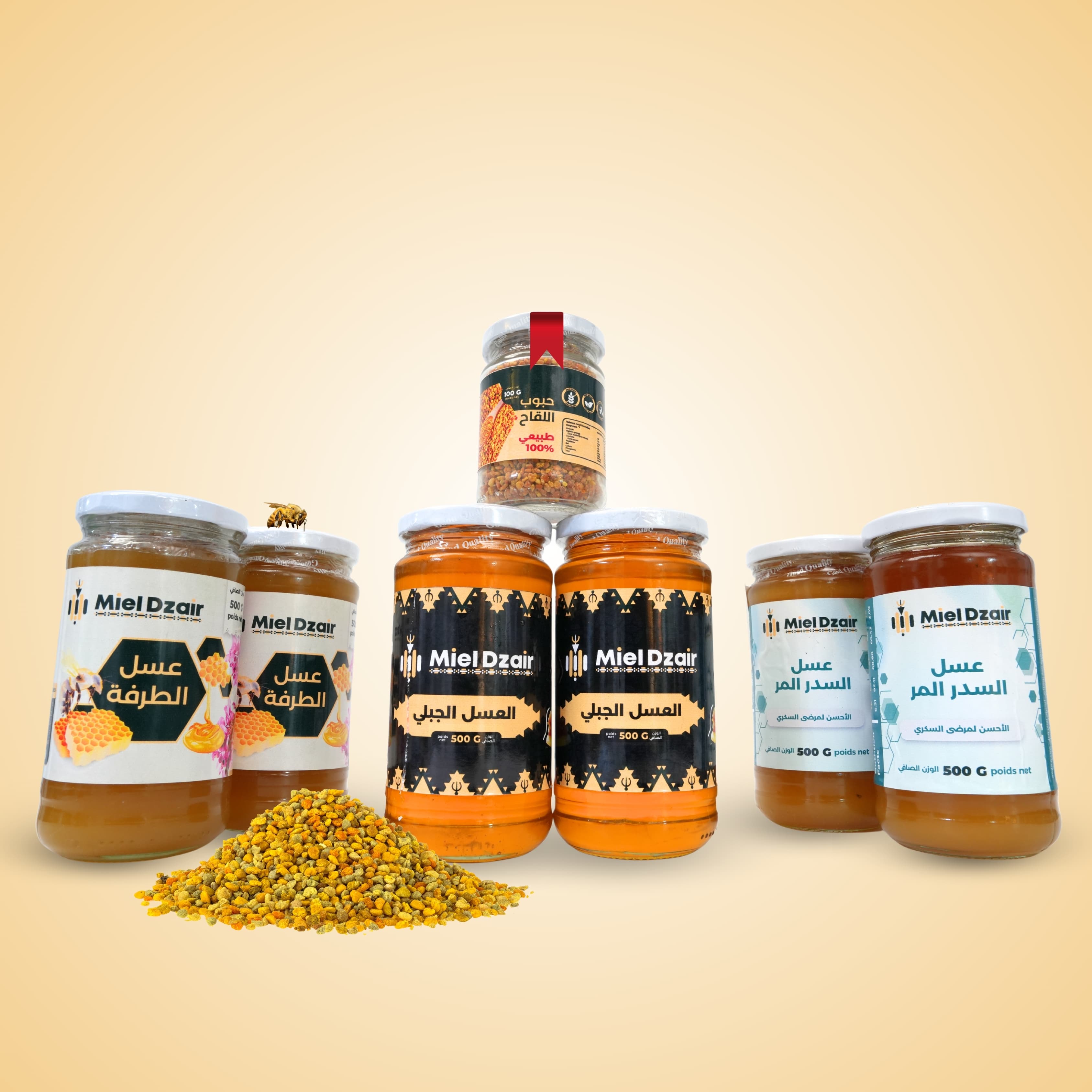 Pack  باقة فقر الدم وهشاشة العظام
